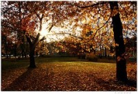 TAKAs dzejas ciklā viesosies Ilze Jansone