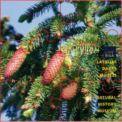 Seši Rīgas muzeji vienojas akcijā "Atrodi Egli muzejos!"