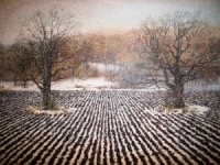 Cēsīs - Daces Lielās ''Gleznas''