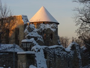 Cēsu Pils parkā tiks svinēti Meteņi