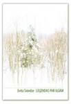 Evita Sniedze "Leģendas par ilgām"