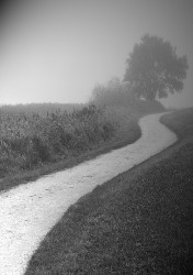 Ojāra Vācieša memoriālais muzejā turpinās valodas vakari