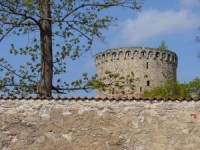 Cēsu muzejs aicina skolēnus uz Putnu dienu Jaunās pils dārzā