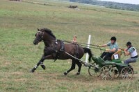 Notiks sezonas atklāšanas sacensības pajūgu braukšanā