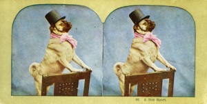 Muzeju nakts 2011 Latvijas Fotogrāfijas muzejā