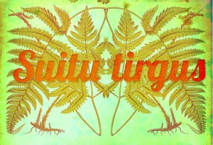 Suitu tirgus Kalnciema kvartālā