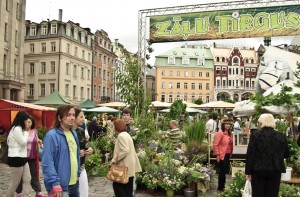 Foto: Zāļu tirgus Doma laukumā