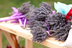 Kalnciema kvartāla tirdziņi atgriezušies sestdienās