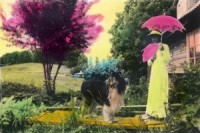 LNMM aicina uz semināru „Mākslinieks kā fotogrāfs vēstures paēnā"