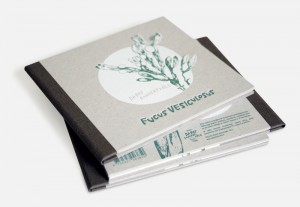 Izdots piektais Dabas koncertzāles albums