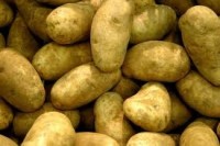 Par Latvijas nacionālo dārzeni iedzīvotāji atzīst kartupeli