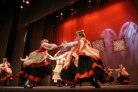 Notiks koncerts „Ziemas saulgrieži"