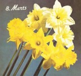 Pavasara ziedi sieviešu dienai veltītajās apsveikuma kartiņās