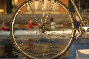 Veloaktivitātes Vērmanes dārzā