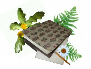 Ar Jāņu ielīgošanu noslēgsies pasākumu cikla "Dziesmu klade" sezona