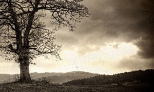 "Piekūns skrien debesīs" - jaunās skaņās