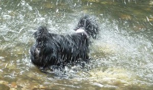 Karstā laikā jāsaudzē veselība