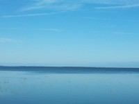 Evelīna Deičmane atklās izstādi „Burt Nieks"