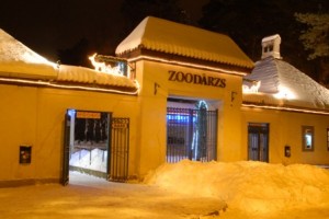 Rīgas Zooloģiskajā dārzā sāksies Ziemas naktis