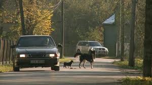 Pavasarī pirmizrādi piedzīvos dokumentālā filma "Kapitālisms Šķērsielā"
