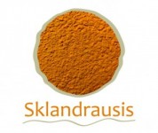 Jaunie mediju mākslinieki uzsāk izstāžu ciklu „Sklandrausis”