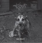 Budrūs – „Canine Visions IX” (Freak Animal, 2013)