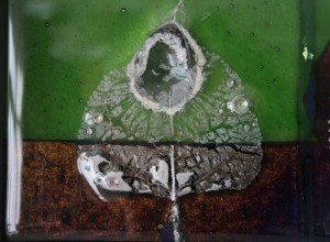 Ievas Strazdiņas „Kultūraugi” Mākslinieku namā