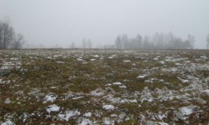 Dabas muzejā notiks pasākums par veļiem