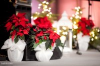 Rīgas Domā notiks neparasts ziemas noskaņu koncerts