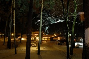Rīgas Zooloģiskajā dārzā sākas Ziemas naktis
