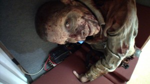 Par zombiju pārģērbies fans nobiedē "Staigājošo miroņu" zvaigzni