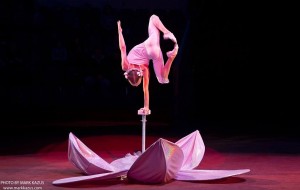 Rīgas Cirkā noslēdzies ceturtais Starptautiskais cirka festivāls Zelta Kārlis