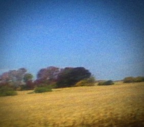 Sun Kil Moon – „Benji” (Caldo Verde)