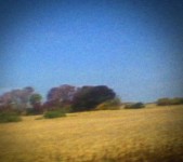 Sun Kil Moon – „Benji” (Caldo Verde)